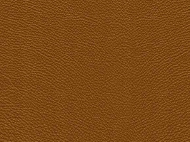 Importer leather 79 PRIMP COLLECTION 系列 真皮 牛皮 沙發皮革 7954 駝色